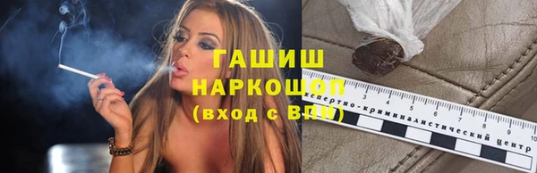 индика Аркадак
