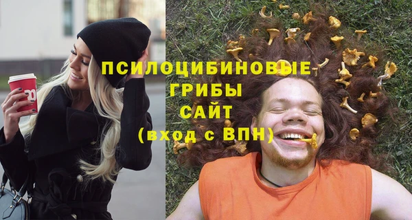 метадон Армянск