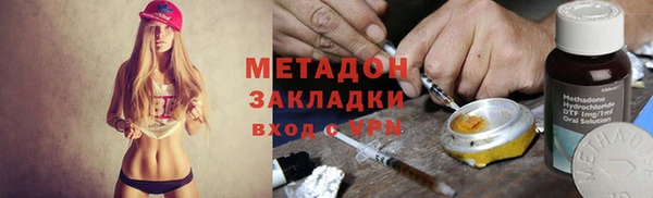 индика Аркадак