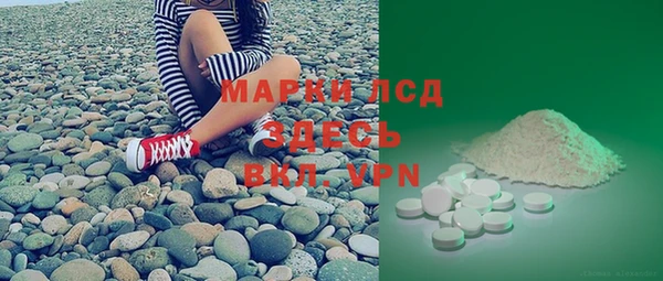 индика Аркадак