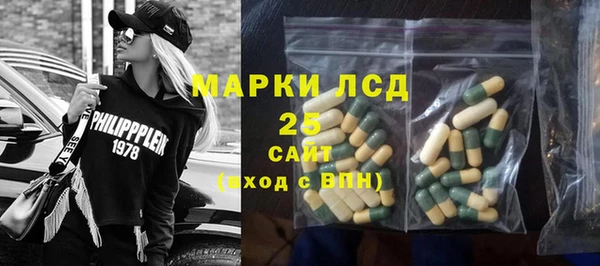 индика Аркадак