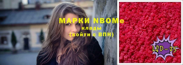 индика Аркадак