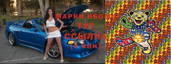 индика Аркадак