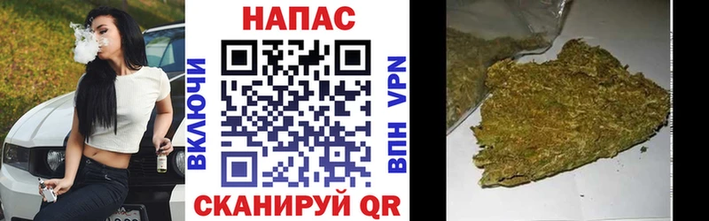 Каннабис сатива  Урай 